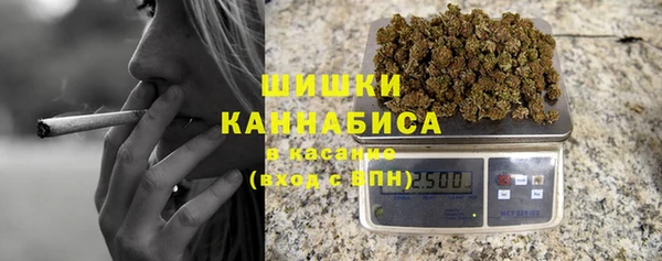 хмурый Горняк