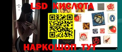 дживик Берёзовский