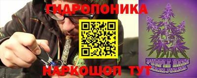 стафф Бийск