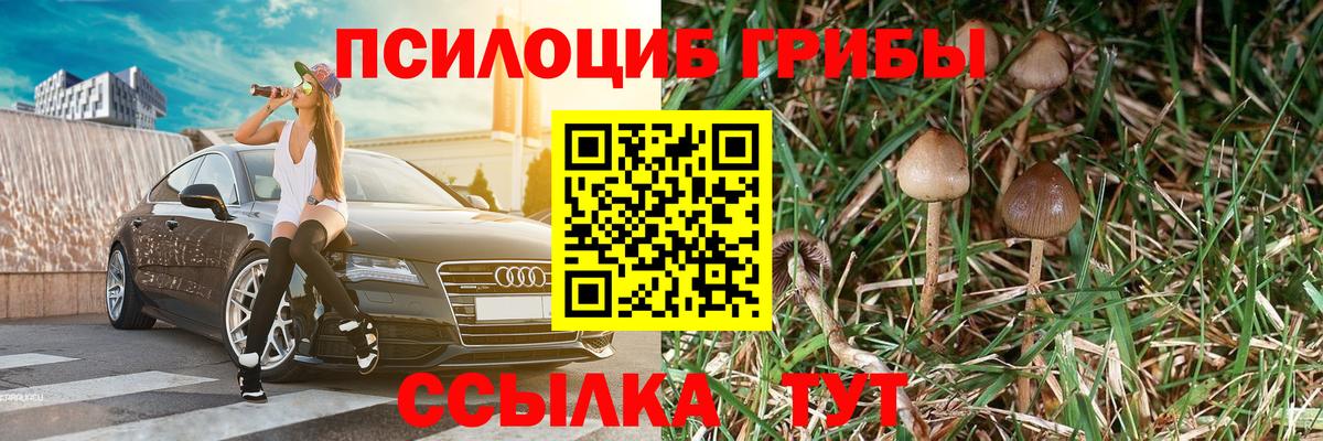 Псилоцибиновые грибы Magic Shrooms Гай
