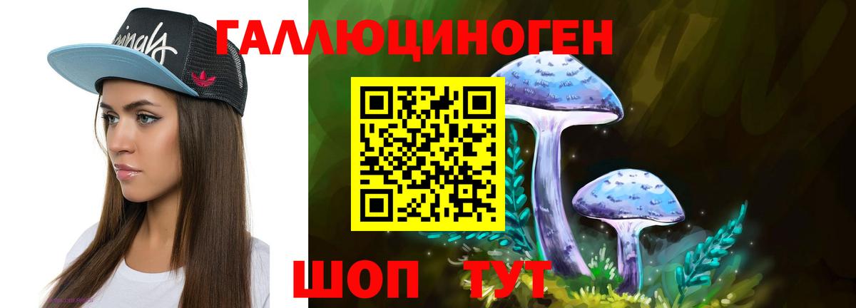 Галлюциногенные грибы Cubensis  купить   Гай 