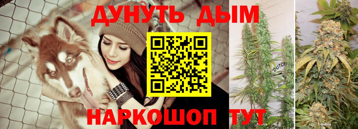 Бошки Шишки семена  Конопля индика  Каннабис Amnesia  Конопля планчик  Гай  Вход с VPN 