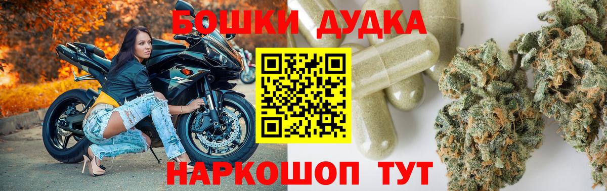 Каннабис сатива Гай